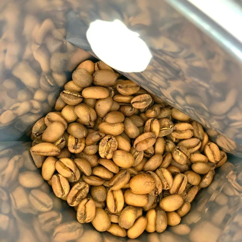 Rocky Mountain Anaerobic "Chamaleon" Green Tip Geisha - Finca Hartmann, Panama