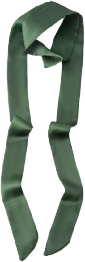 Stylish Ribbon Scarf Soft Long Skinny Satin Belt Neck Scarf for Women
