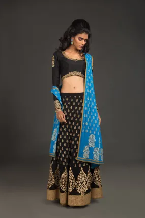 Zardozi Lehenga Set - Ebony